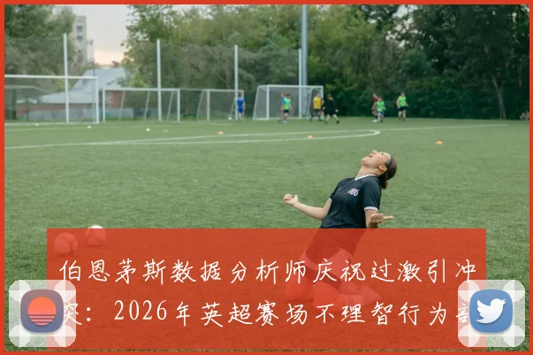 伯恩茅斯数据分析师庆祝过激引冲突：2026年英超赛场不理智行为剖析与职业规范讨论
