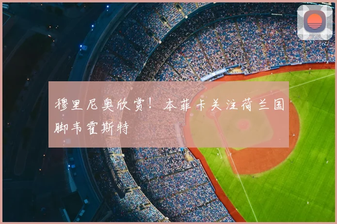 穆里尼奥欣赏!本菲卡关注荷兰国脚韦霍斯特